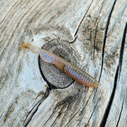 Image de Dropned Shad 60 - Natural