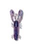 Image de HS Bug 70 - June Bug