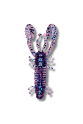 Image de HS Bug 70 - June Bug
