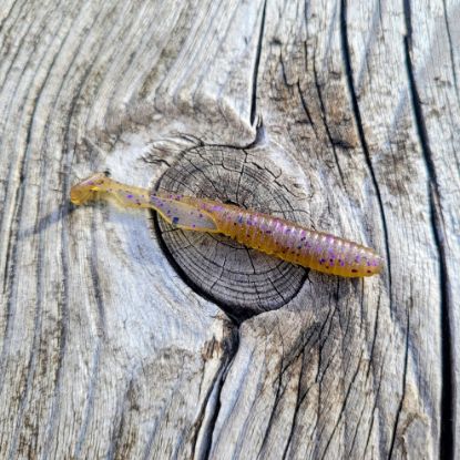 Image de Dropned Shad 60 - Greenpumpkin Purple