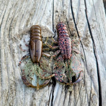 Image de Flap Craw 60 - Blue Coffee