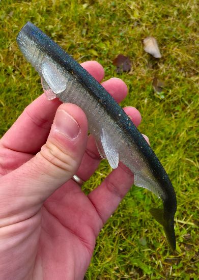 Image de Eklips 200 - Clear Water Special