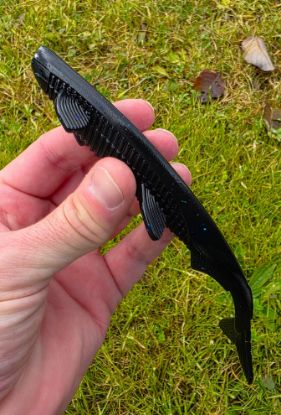 Image de Eklips 200 - Barbecue