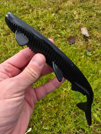 Image de Eklips 270 - Barbecue